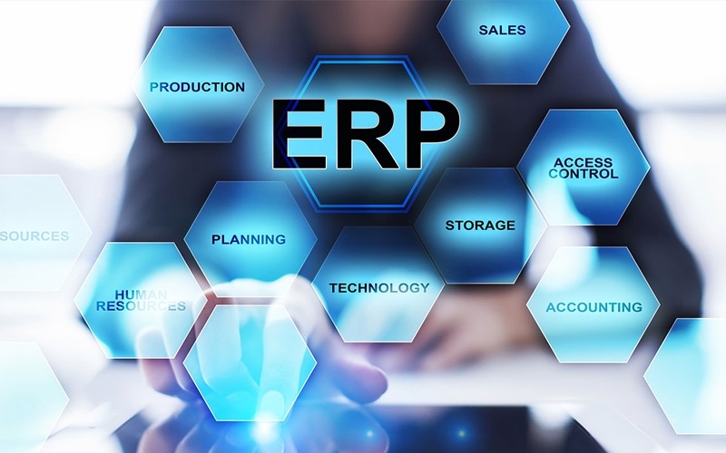 erp consulting secure ap solutions